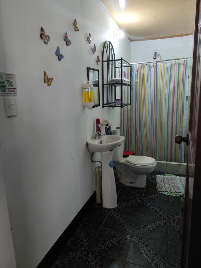 Appartamento Tortuguero Casa De Playa Green House Esterno foto