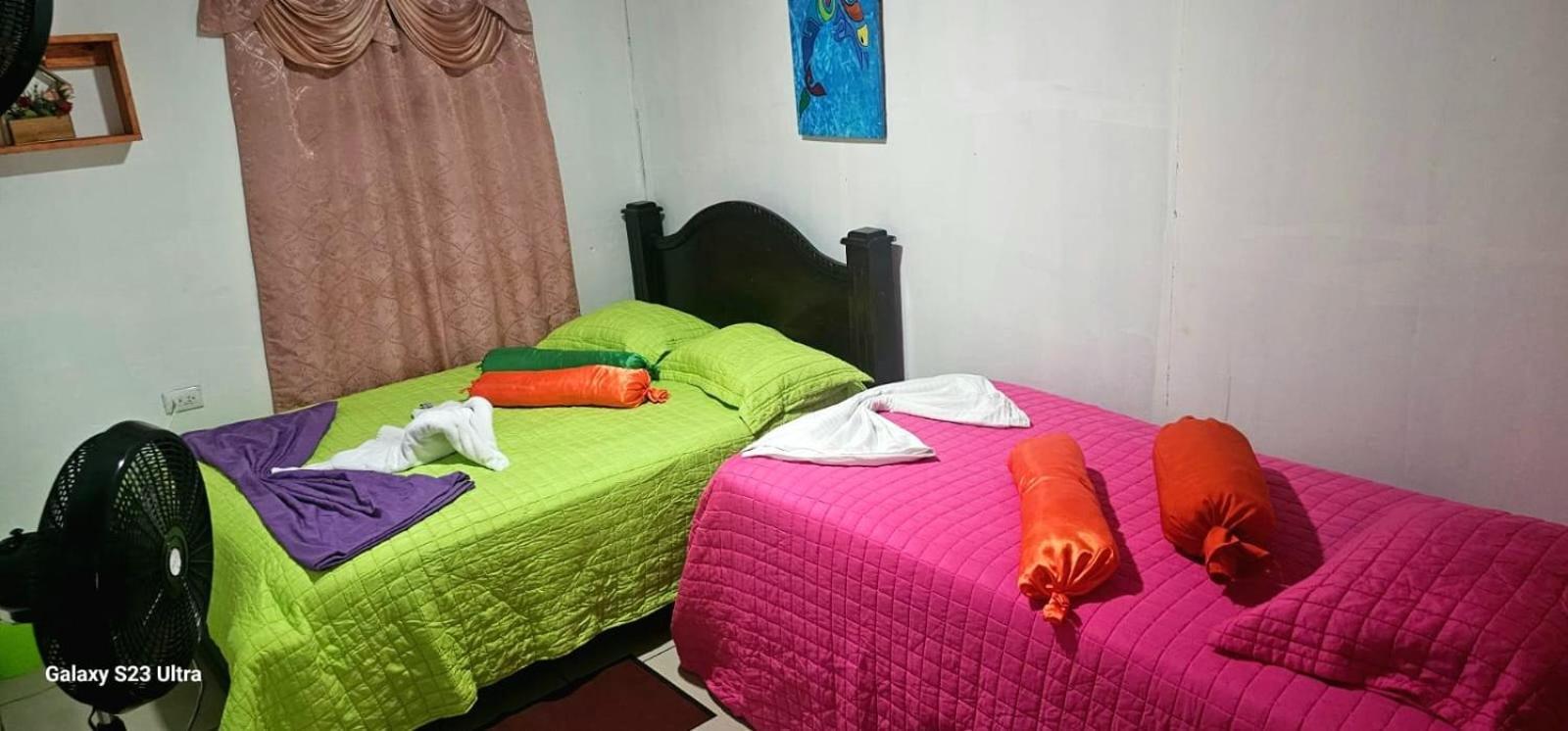 Appartamento Tortuguero Casa De Playa Green House Esterno foto