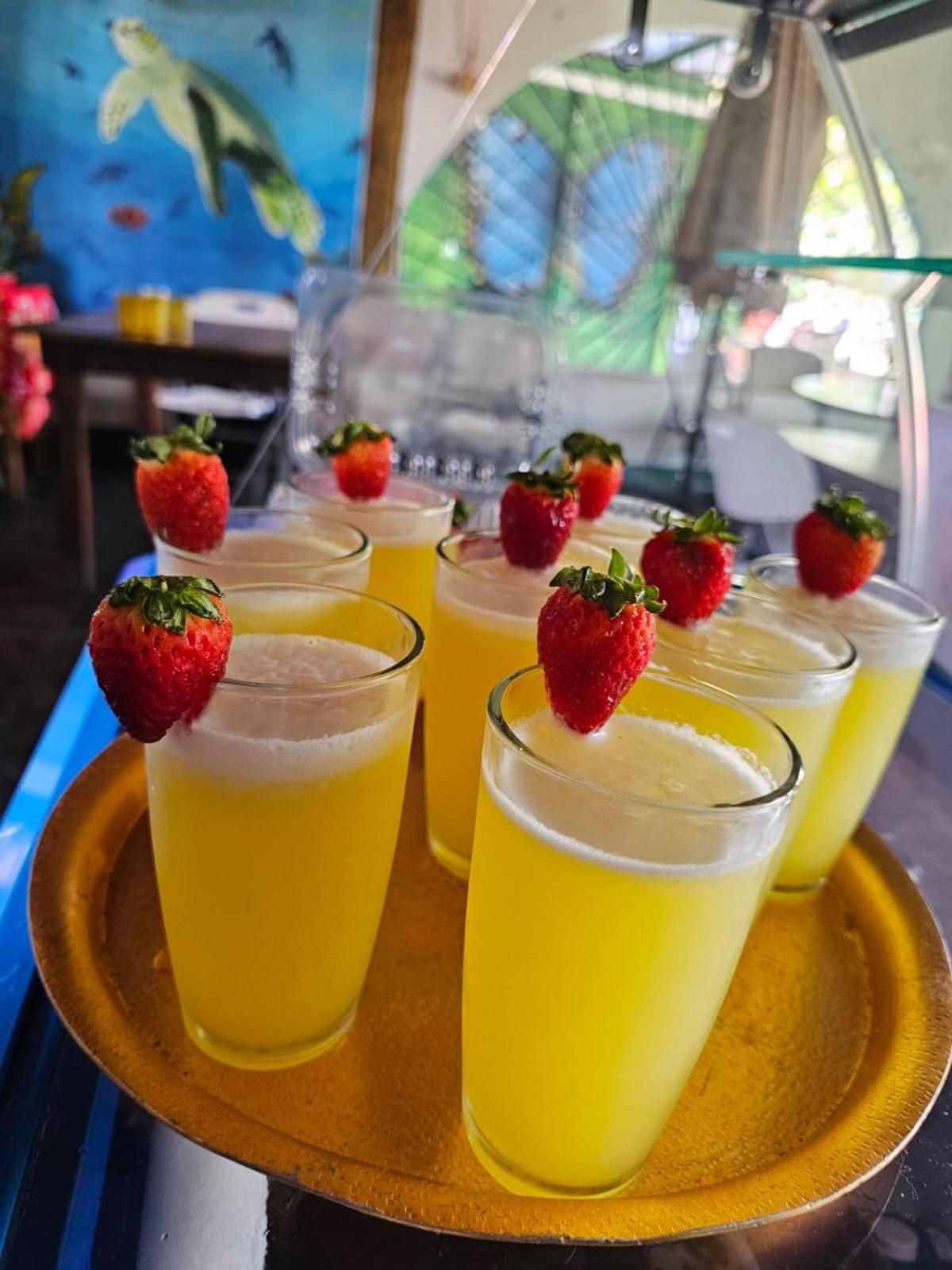 Appartamento Tortuguero Casa De Playa Green House Esterno foto