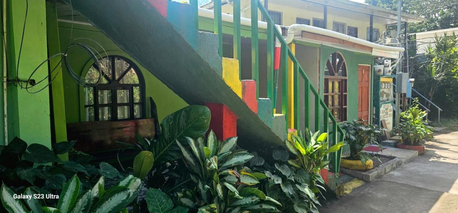 Appartamento Tortuguero Casa De Playa Green House Esterno foto